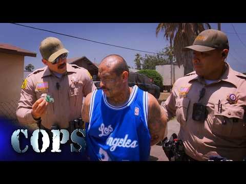 Air 1, Show 3723, Cops TV Show