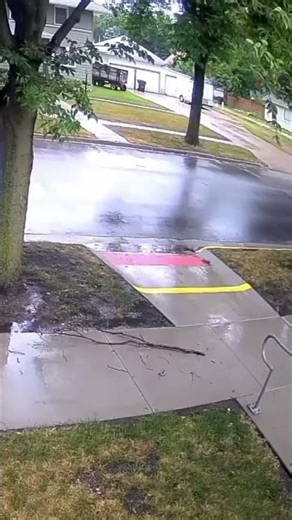 tree exploding from cold area 🤕#shorts