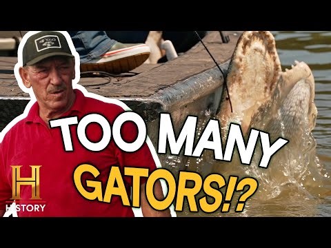 Is It A Tough Year On The Swamp? (Season 17) | Swamp People