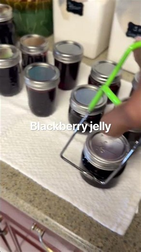 BlackBerry jelly