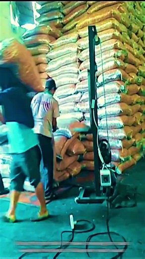 Ergonomic Mecanization: Solution to Overcome Wound Lifting the Sack