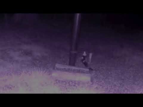 Live - Bird Feeder Cam - Stow OH