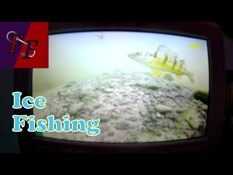 Ice Fishing Lafarge Lake at Reynolds