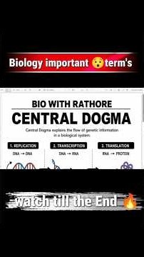🎯 Central Dogma Made Easy | DNA → RNA → Protein | Biology One Shot
