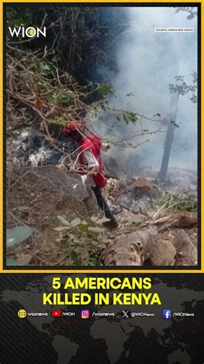 Five Americans Killed in Kenya Helicopter Crash, State Dept Says | WION Shorts