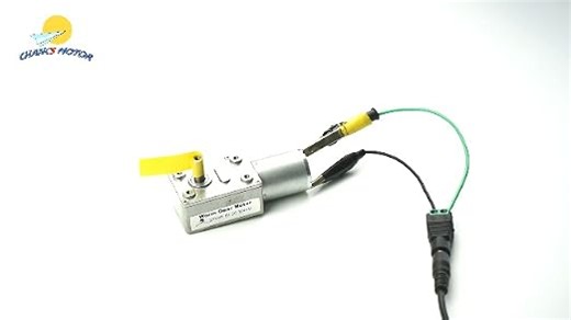CHANCS 370WG Reduzierstück, Elektromotor, selbstsichernd, wendbar, 24V DC Gleichstrom, 4U/min, für Heimwerkerteile