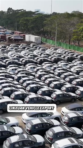 Baiya Linxuan on Instagram‎: "من ميناء نانشا 🚢 جاري تحميل سيارات Livan X3 داخل الحاويات بكل احترافية وأمان، استعدادًا لشحنها إلى وجهتها النهائية. في Linxuan Vehicle Export نحرص على أعلى معايير التغليف والتحميل لضمان وصول السيارات بحالة ممتازة من الصين إلى العالم. From Nansha Port 🚢 Livan X3 vehicles are being carefully loaded into containers, ready for international shipping. At Linxuan Vehicle Export, we ensure professional handling and secure loading, delivering vehicles safely from China to