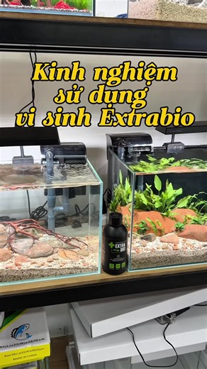 Kinh nghiệm sử dụng vi sinh cho hồ thuỷ sinh