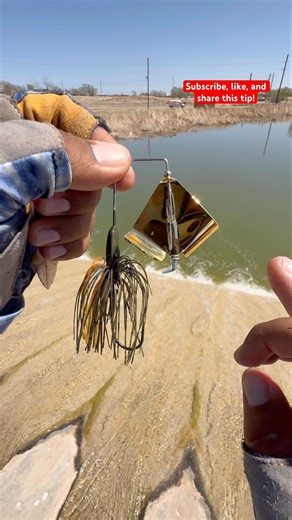 Tips Setting up a Buzz bait with a Tralier for bass#fishing#viralvideo#youtubeshorts#shortvideo#tips