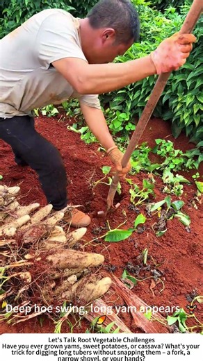 Harvesting Wild Yam – Dig Deep, Lift Slow 🍠🧑‍🌾
