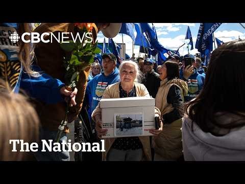 Alberta independence referendum in doubt after judge tosses petition