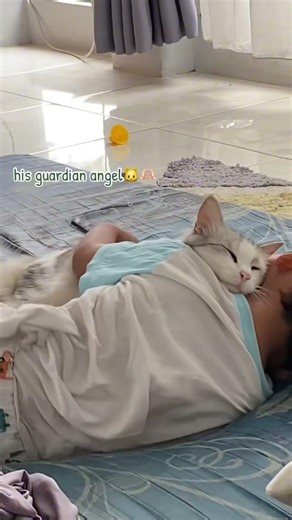 Phillies land All-Star closer Jhoan Duran ahead of MLB trade deadline 👀🔥 #JhoanDuran