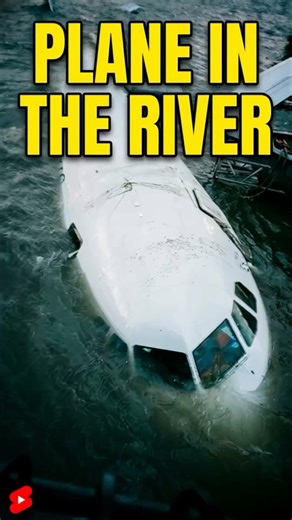 He Landed a Plane on a River… And Everyone Survived #history #shorts