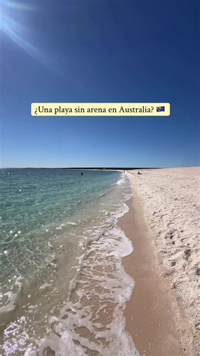 Explore Shell Beach in Western Australia: A Hidden Gem