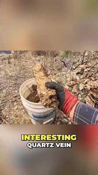 Gold Prospecting Testing Old Mine Veins for Hidden Riches