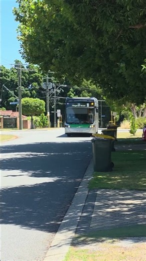 a bzl #shorts #bus #transperth #volvo #publictransport