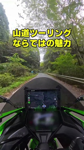 木々に囲まれた山道を走る！自然を感じるバイクツーリング【ZX-4RR】
