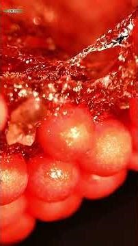 Heart-Shaped Gummies Opening – Macro View 🍬🔍