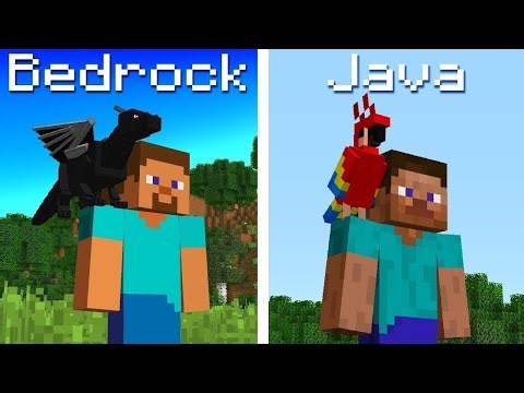 I Tested Minecraft Java vs Bedrock (SHOCKING Results)