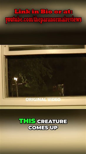 Mysterious Creature Peeks Through Window: What Is It? #shorts