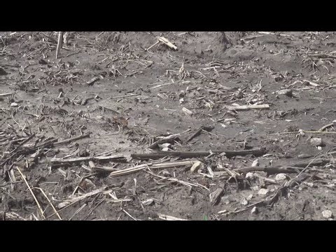 Central Iowa farmers waiting for dryer climate for planting