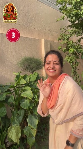 5 Secret Nests & A Life Lesson | 5 चिड़ियों के घर! 🏠🐦 🐣 🌿