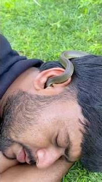 Survival Skills: Smart idea and Simple but very Useful #bushcraft #camping #outdoors #survival
