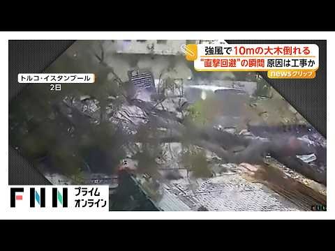 強風で10メートルの大木倒れ女性“直撃回避”の瞬間　バス待ちの女性“危機一髪”車2台突っ込みバス停大破　トルコ（2026年10月19日）
