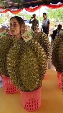 "ทุเรียนต้นน้ำมูล"ลูกเดียวหนักสะใจ 11.9 กิโลกรัม | เรื่องดีดีทั่วไทย | 29–6-69