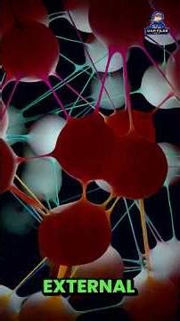 We Live in a Holographic Universe?! | UAP Files Podcast S4|E13 w/ Anthony Peake