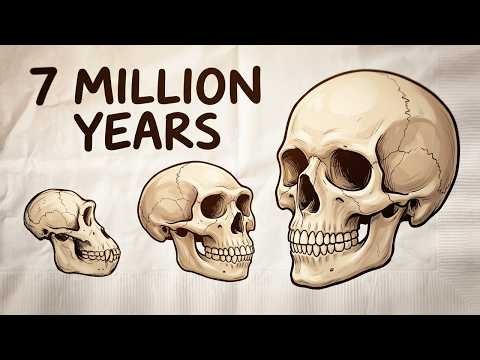 The Evolution Tale That Took Your Ancestors 7 million Years