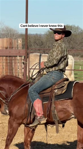 Insights on Colt Starting and Training Techniques