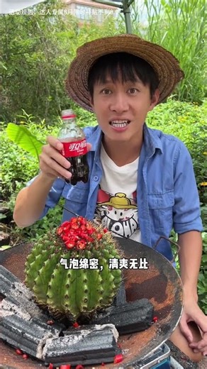 Have you ever eaten a pangolin?|Chinese Mountain Forest Life And Food #MoTiktok