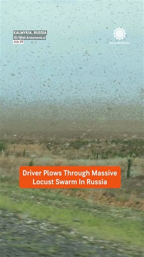 A driver found themselves surrounded by a massive swarm of locusts in Russia, where millions of the insects have reduced visibility and damaged crops as authorities work to contain the outbreak. 🦗