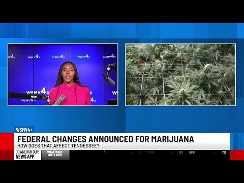 Trump Administration reclassifies marijuana, TN lawmakers pass marijuana bill