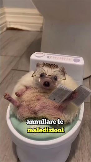 THE GIRL WHO RISKS HER LIFE EVERY DAY DUE TO A MEDICAL ERROR (Credits: @zackdfilms)