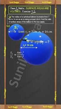 Q4 Ex 11.2 Class 9 Maths | Surface Areas and Volumes | Complete NCERT Explanation.