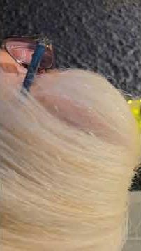 New Years Eve 2025 Tenby House & Tudor Square, Tenby, Pembrokeshire