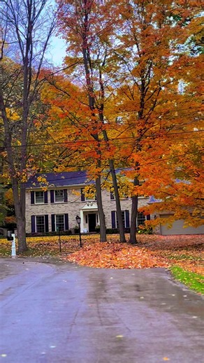 Welcome to Canada 🇨🇦 🇨🇦🍁🍁in fall 2026 .It’s beginning to look a lot like fall