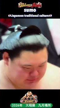 🇯🇵 Onosato wins the championship. Sumo Wrestling: Japan’s Traditional Culture #shorts #sumo