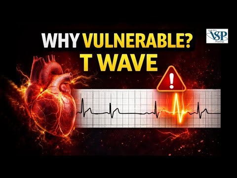 Why Is the Heart Vulnerable at the Peak of T Wave? | Cardiac Vulnerable Period Explained