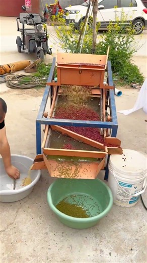 Smart Sorting: The Mechanical Magic of the Multi-Level Seed Separator