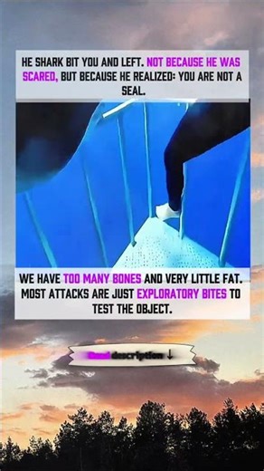 truth about EXPLORATORY BITES #wildlife #shark
