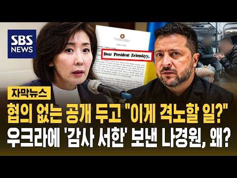 사전협의 없는 공개 두고 "이게 격노할 일인가"..우크라에 '감사 서한' 보낸 나경원, 왜? (자막뉴스) / SBS
