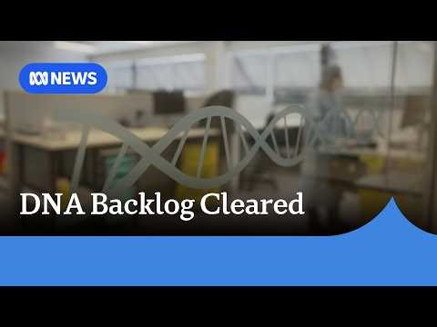 Queensland's DNA lab resumes testing of rape kits after justice delay | ABC NEWS