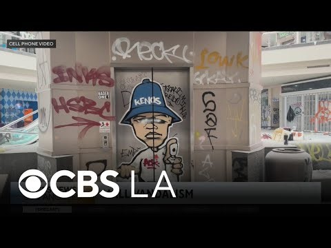 Police arrest 10 more people at Westminster Mall hours after denouncing vandalism at vacant property