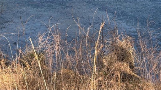 Every year when this happens, we hear about people or pets falling through the ice. | WFMY News 2