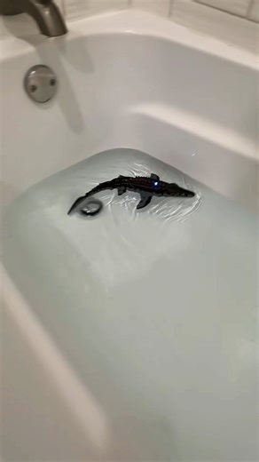 AquaSaur Rex - Remote-Controlled Swimming Mosasaur Toy captionless