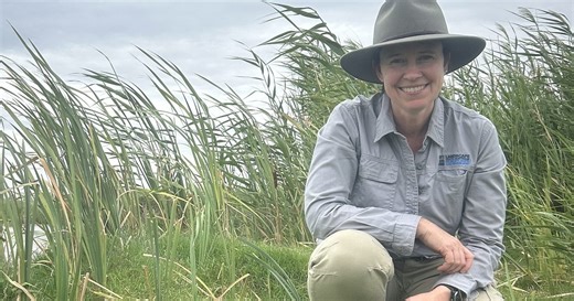 The rise of citizen science in Adelaide: How your daily walk can help…