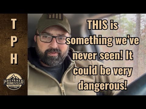 THIS is something we’ve never seen! It could be very dangerous! 